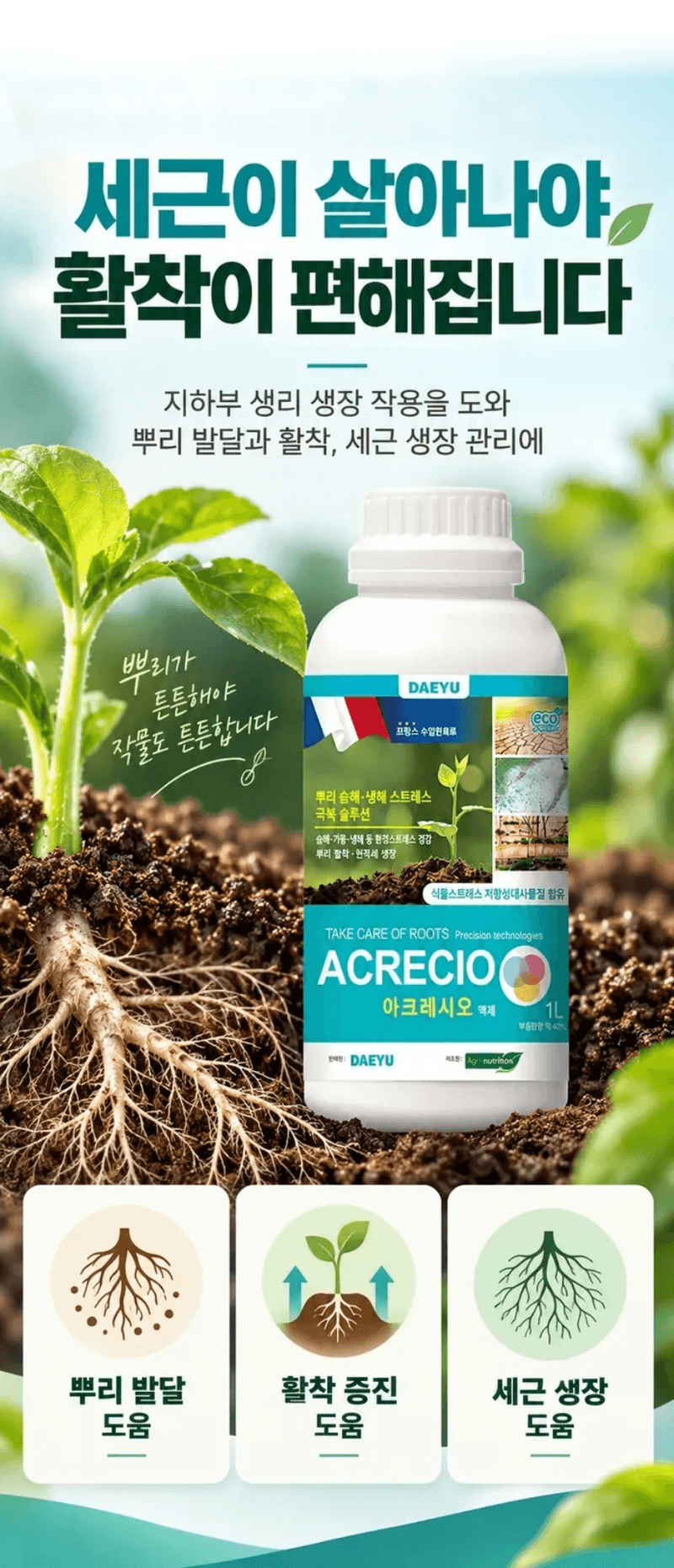 농업마켓365님의 장터 판매 상품 [대유 아크레시오 액제 500ML 1L 2L 5L 프랑스 수입제 뿌리발달 뿌리활착 근권관리 식물영양제] 첨부 사진