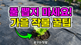 팜모닝 자유주제·자유게시판 게시글 이미지