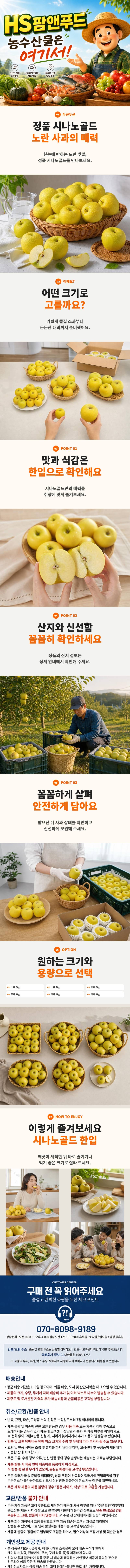 HS팜앤푸드님의 장터 판매 상품 [황금사과 시나노골드 26년 고당도 햇사과 산지직송 아삭한 새콤달콤 선물용 추석 명절 골든볼] 첨부 사진