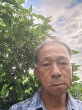 팜모닝 자유주제·자유게시판 게시글 이미지