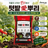 팜모닝 자유주제·자유게시판 게시글 이미지