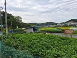Kns4324님의 자유주제·자유게시판 작성글 사진