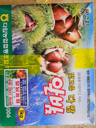 대봉매실 인생이막님의 작성글 사진