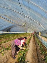 팜모닝 자유주제·자유게시판 게시글 이미지