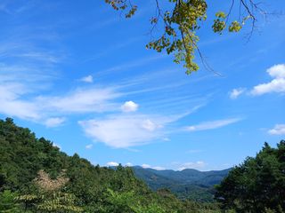연향님의 자유주제·자유게시판 작성글 사진