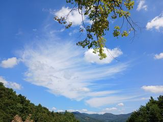 연향님의 자유주제 · 자유게시판 작성글 사진