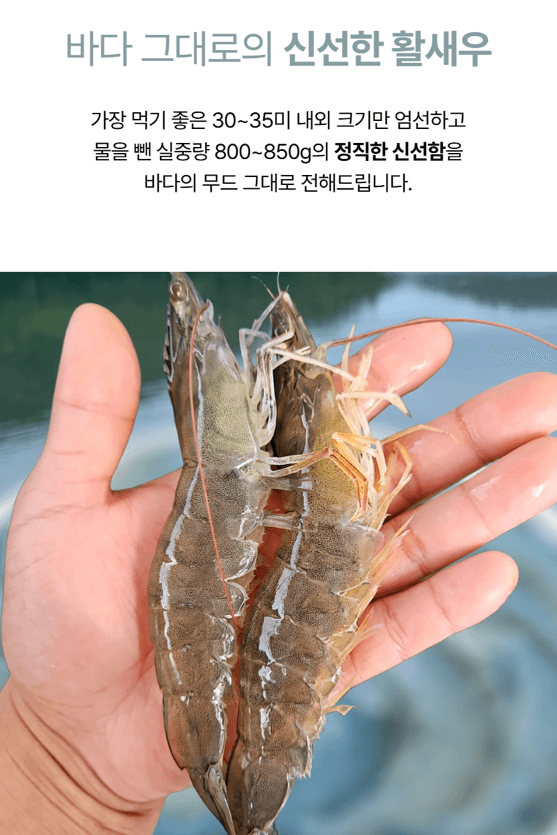 메종루엘님의 장터 판매 상품 [특가 흰다리새우] 첨부 사진
