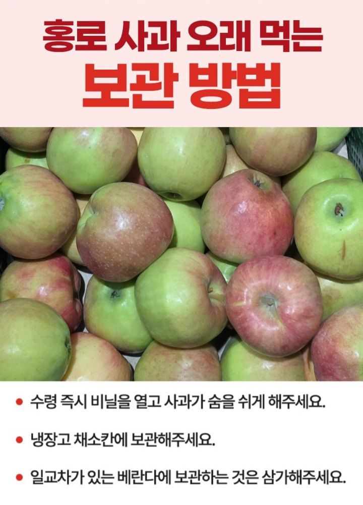 자두14488님의 장터 판매 상품 [홍로 사과 10kg 가정용] 첨부 사진