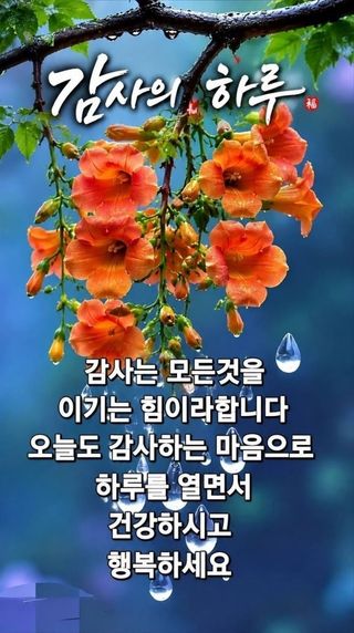 Kns4324님의 자유주제 · 자유게시판 작성글 사진