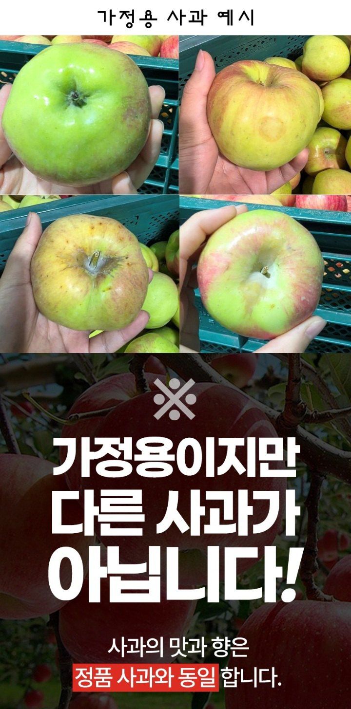 자두14488님의 장터 판매 상품 [홍로 사과 10kg 가정용] 첨부 사진