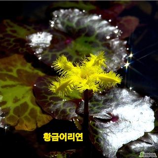 달맛햇복숭아농원님의 자유주제 · 자유게시판 작성글 사진