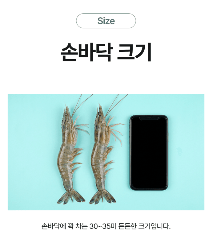 메종루엘님의 장터 판매 상품 [특가 흰다리새우] 첨부 사진