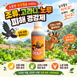 팜모닝 · 게시글 이미지