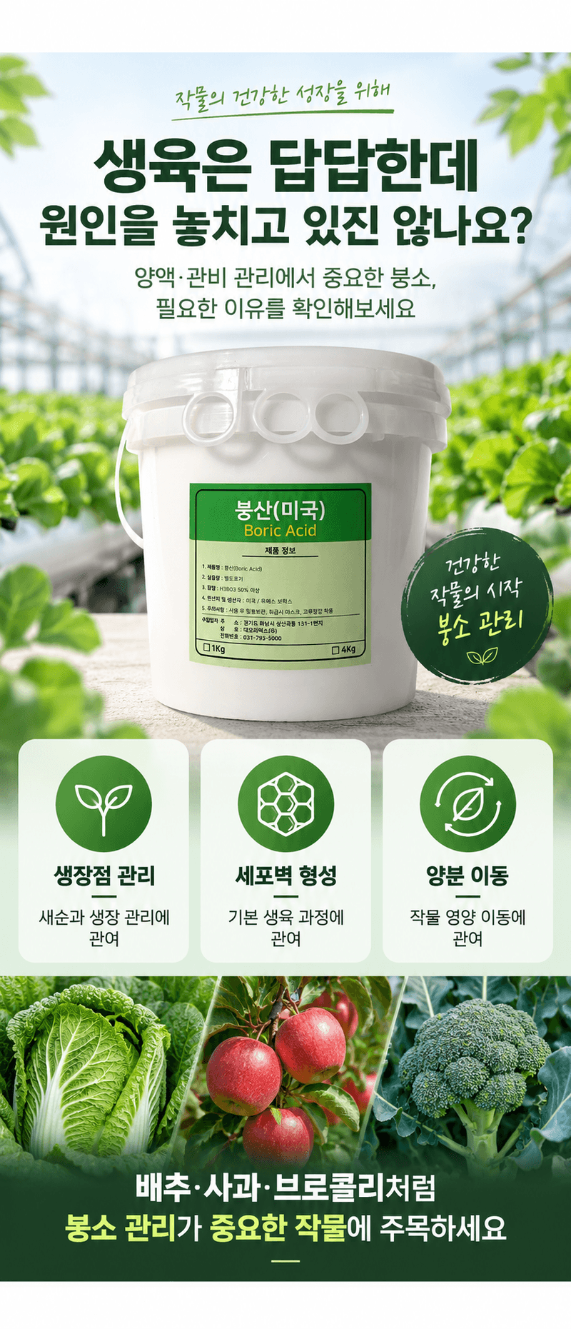 농업마켓365님의 장터 판매 상품 [U.S.Borax 미국산 고순도 붕산 50% 4KG/1KG 양액비료 관주비료 붕소결핍개선 붕소공급] 첨부 사진