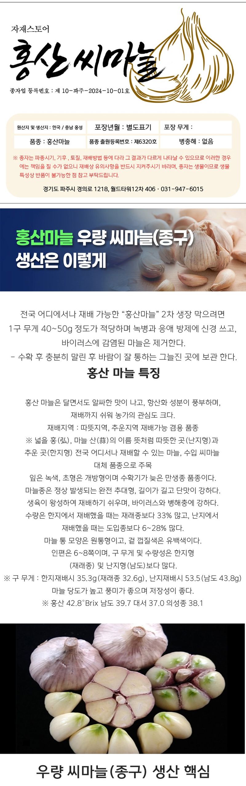 자재스토어님의 장터 판매 상품 [홍산씨마늘 홍산 마늘 종자 난지형 한지형 육쪽 통마늘 씨앗 1kg] 첨부 사진