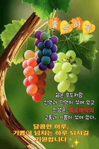 Kns4324님의 자유주제 · 자유게시판 작성글 사진