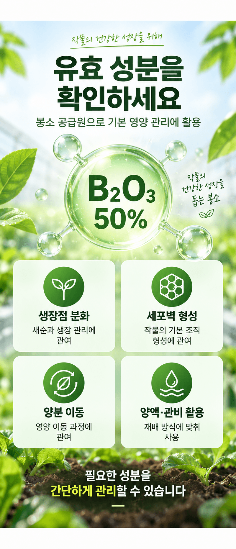 농업마켓365님의 장터 판매 상품 [U.S.Borax 미국산 고순도 붕산 50% 4KG/1KG 양액비료 관주비료 붕소결핍개선 붕소공급] 첨부 사진