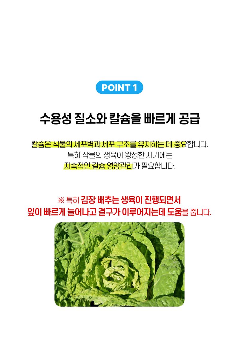 세종농자재센터님의 장터 판매 상품 [질산칼슘500ml 흡수빠른 수용성 질소 칼슘 아미노산 복합비료 오이 딸기 고추 배추 비료] 첨부 사진