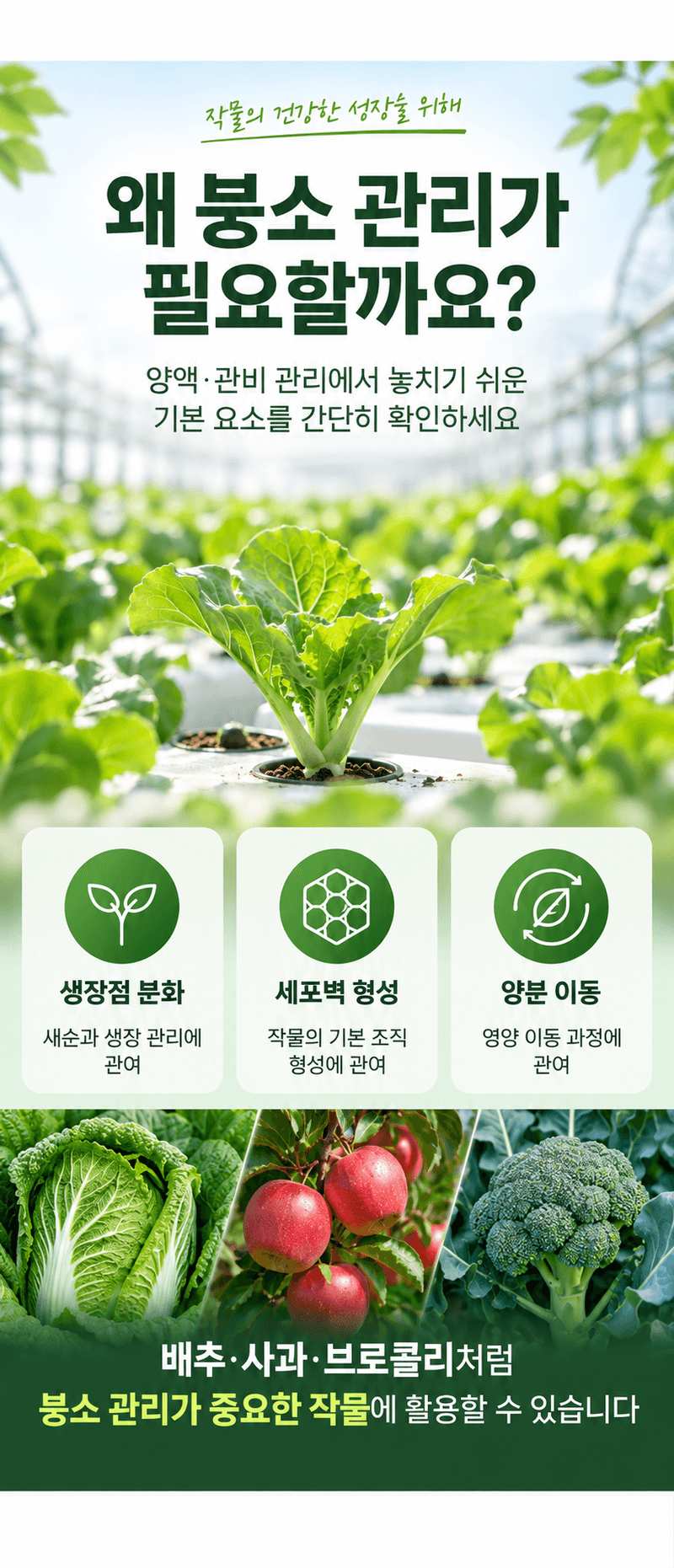 농업마켓365님의 장터 판매 상품 [U.S.Borax 미국산 고순도 붕산 50% 4KG/1KG 양액비료 관주비료 붕소결핍개선 붕소공급] 첨부 사진