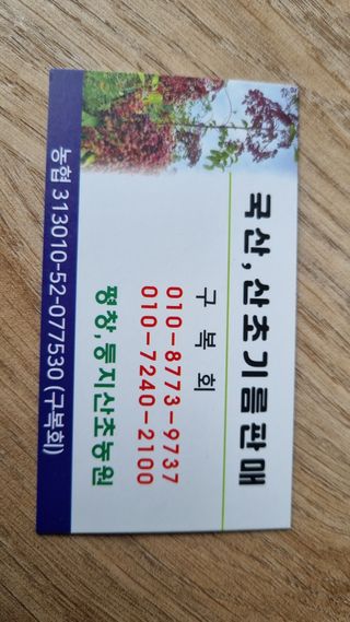 구복회,둥지산초농원님의 자유주제 · 자유게시판 작성글 사진