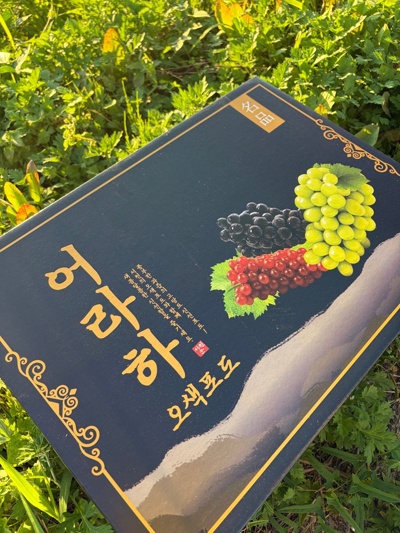 장터 상품 [샤인머스켓 4키로] 썸네일