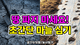 홈 갤러리 이미지