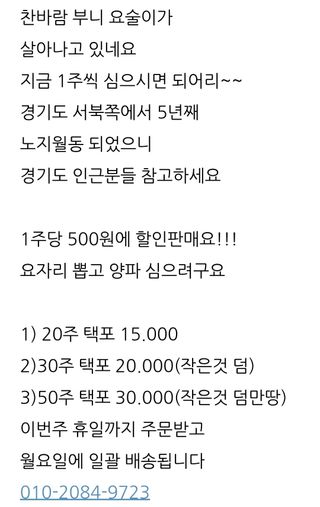 삼성농산님의 작성글 사진