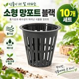 팜모닝 · 게시글 이미지