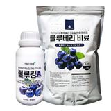 팜모닝 · 게시글 이미지