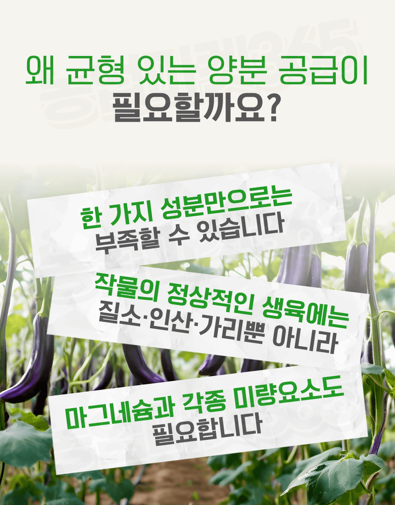 농업마켓365님의 장터 판매 상품 [멀티피드 10KG / 25KG 이스라엘 수입산 관주비료 양액비료 수용성 복합비료] 첨부 사진