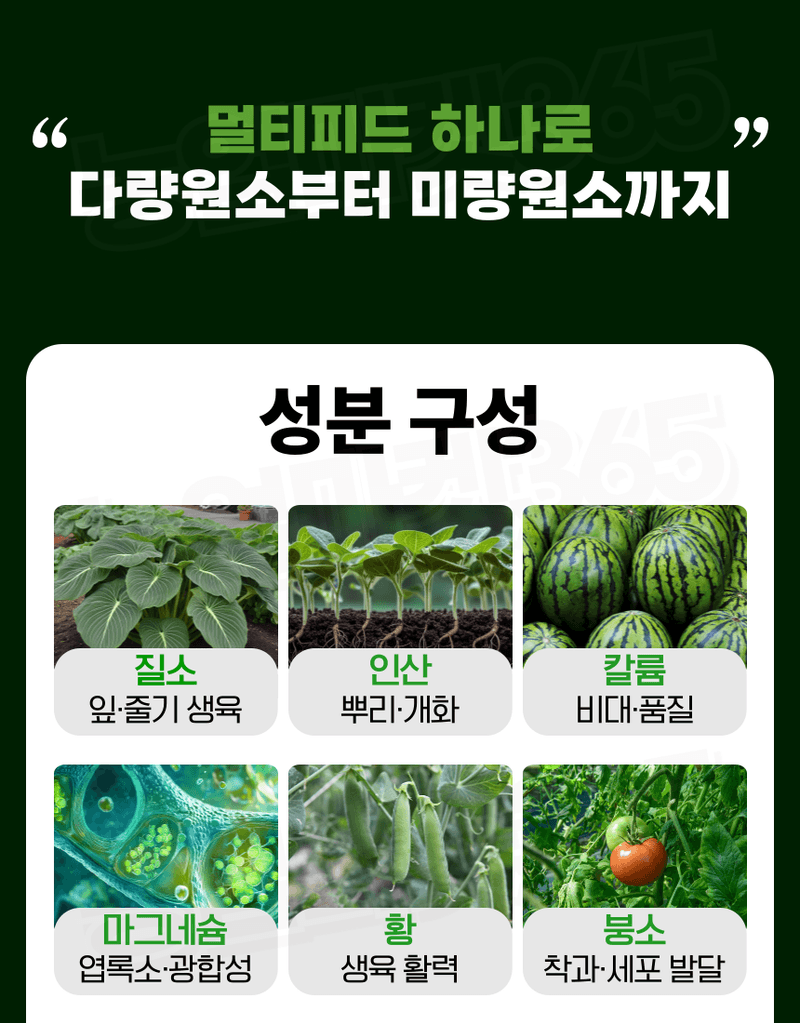 농업마켓365님의 장터 판매 상품 [멀티피드 10KG / 25KG 이스라엘 수입산 관주비료 양액비료 수용성 복합비료] 첨부 사진