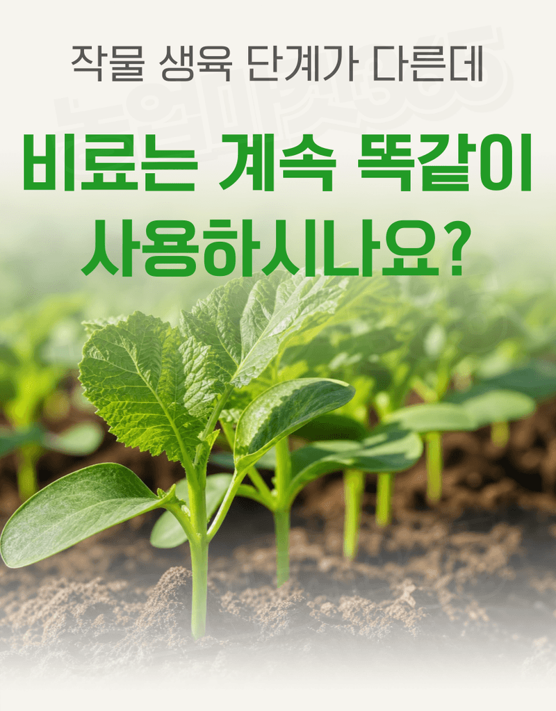농업마켓365님의 장터 판매 상품 [멀티피드 10KG / 25KG 이스라엘 수입산 관주비료 양액비료 수용성 복합비료] 첨부 사진