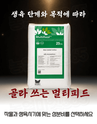 농업마켓365님의 작성글 사진