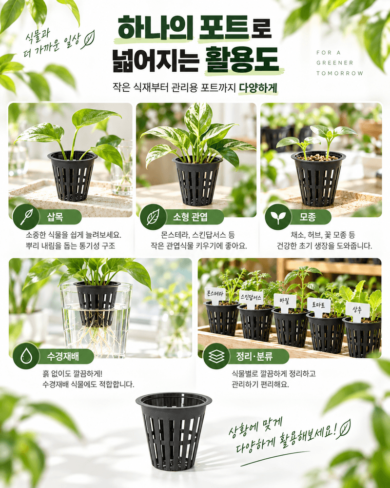 오훈조님의 장터 판매 상품 [모종포트 미니 화분 컵 소형 10개 세트 ] 첨부 사진