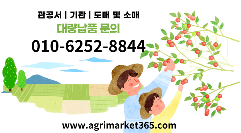 농업마켓365님의 장터 판매 상품 [멀티피드 10KG / 25KG 이스라엘 수입산 관주비료 양액비료 수용성 복합비료] 첨부 사진