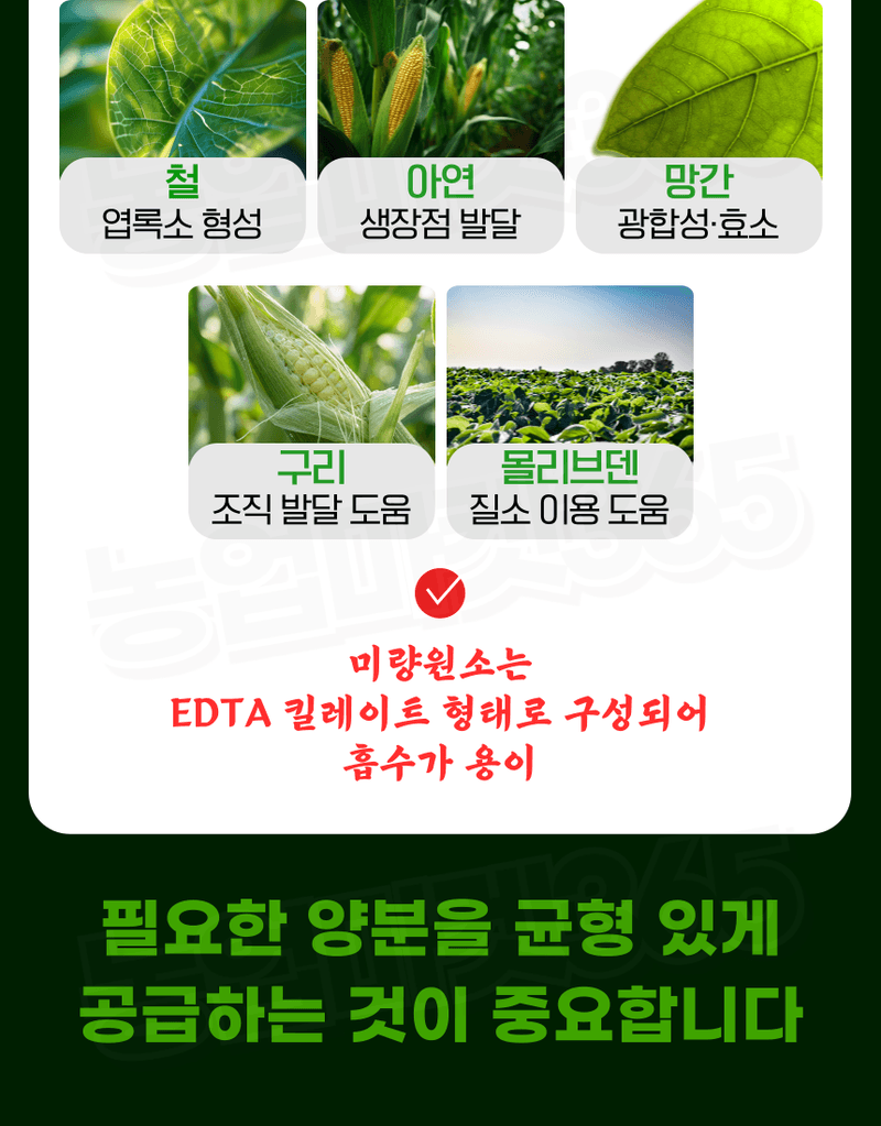 농업마켓365님의 장터 판매 상품 [멀티피드 10KG / 25KG 이스라엘 수입산 관주비료 양액비료 수용성 복합비료] 첨부 사진