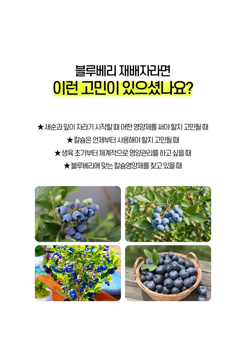 세종농자재센터님의 장터 판매 상품 [비료컴퍼니 블루베리 비료 칼슘영양제 세트 새순 생육 성장] 첨부 사진