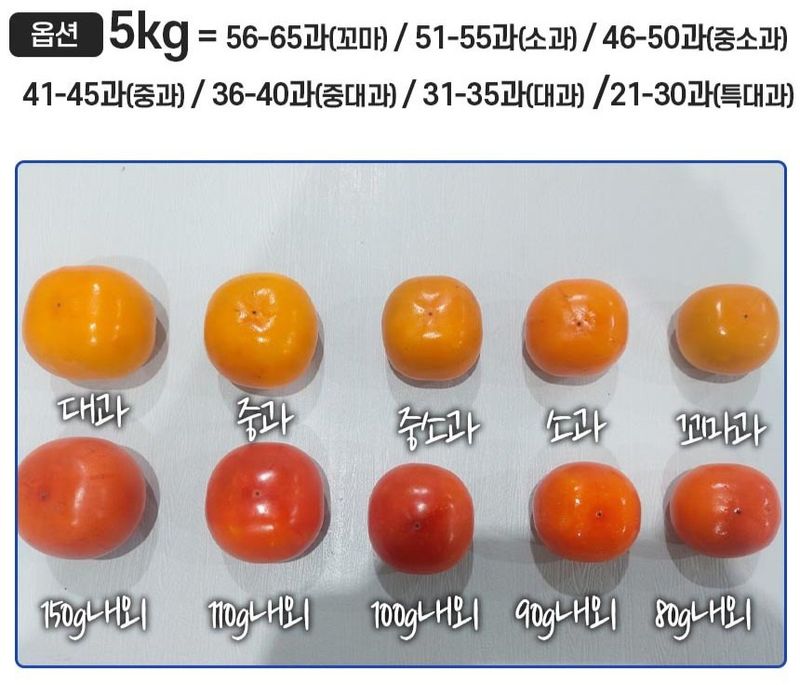 자두14488님의 장터 판매 상품 [청도 반시 중소과 5kg 45-50과 제철별미] 첨부 사진