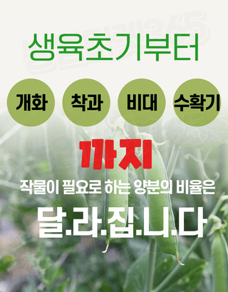 농업마켓365님의 작성글 사진