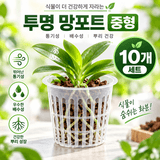 팜모닝 · 게시글 이미지
