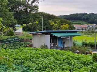 Kns4324님의 자유주제 · 자유게시판 작성글 사진