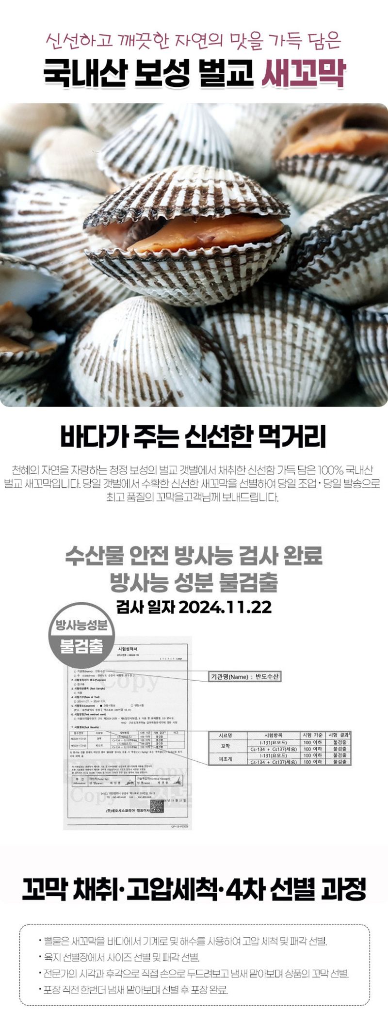초록미소농장님의 장터 판매 상품 [초록미소 산지직송 벌교 새꼬막 1kg 당일조업] 첨부 사진