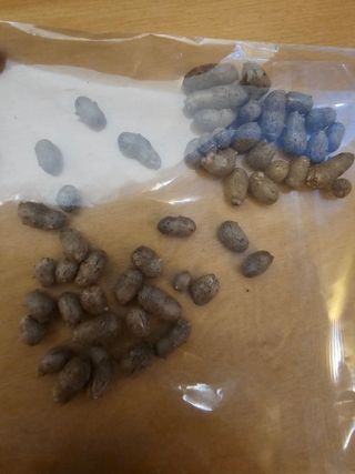토마토수집가님의 자유주제 · 자유게시판 작성글 사진