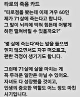 팜모닝 자유주제·자유게시판 게시글 이미지