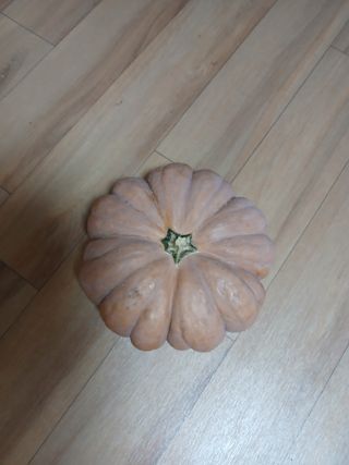 우 은경님의 자유주제 · 자유게시판 작성글 사진