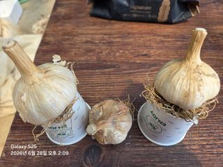 장안님의 작성글 사진