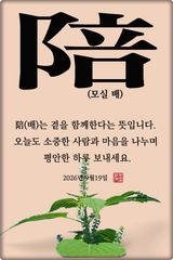 팜모닝 자유주제·자유게시판 게시글 이미지