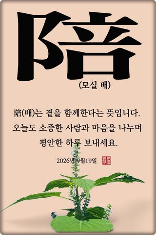 정진해님의 자유주제·자유게시판 작성글 사진