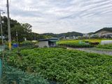 Kns4324님의 자유주제·자유게시판 작성글 사진