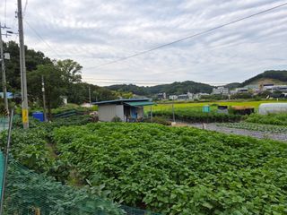 Kns4324님의 자유주제 · 자유게시판 작성글 사진
